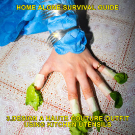 Home Alone Survival Guide Max Siedentopf