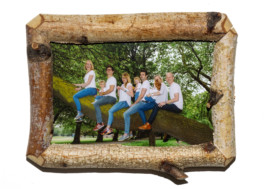 Family Tree / Max Siedentopf 