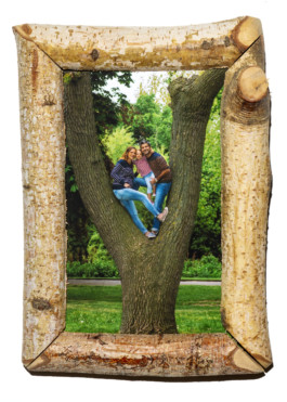 Family Tree / Max Siedentopf 