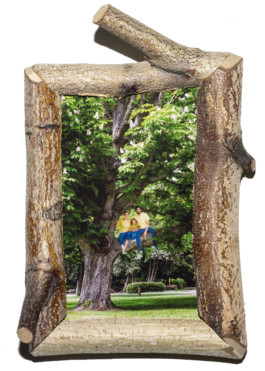 Family Tree / Max Siedentopf 