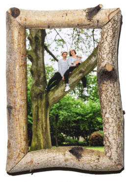 Family Tree / Max Siedentopf 