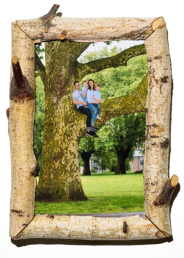 Family Tree / Max Siedentopf 