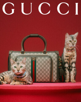 Gucci bag clearance with cat design