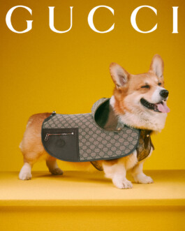 Gucci bag with hot sale dog design